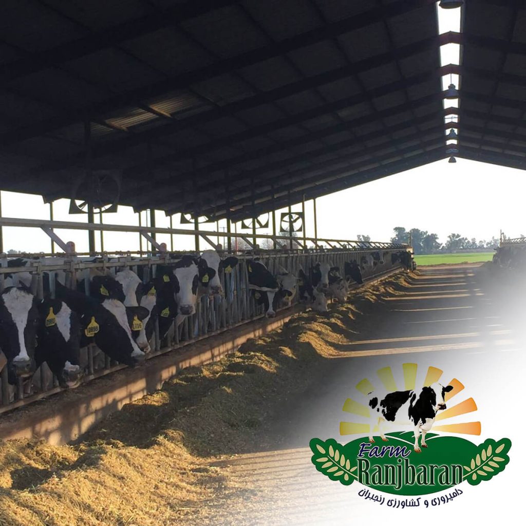 Ranjbaran Farm group1